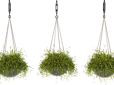 plant hanging basket plant pendant potted plant 3d model