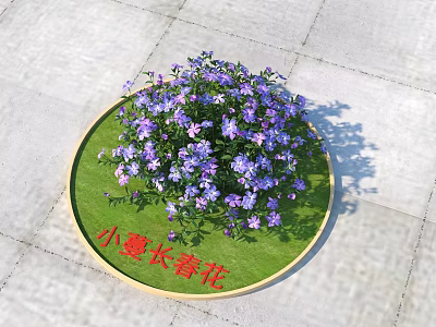 Beautiful Vinca Minor Flowers in Circular Grassy Planter on Stone Pavement 3d model