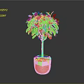 Indoor Potted Tree With Lush Green Leaves In White Ceramic Pot With Green Moss
