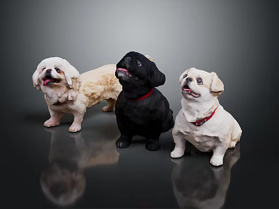 Three Cute Dogs Beige Black and White Posed Together On Dark Background With Reflections 3d model