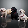 Three Cute Dogs Beige Black and White Posed Together On Dark Background With Reflections