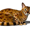 Cat 3d model