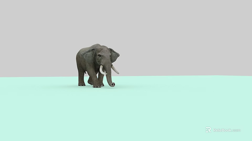 Gray Elephant Standing On Light Green Floor With Gray Background And White Tusks 3d model 