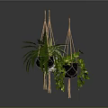 Hanging Basket Plants With Various Green Foliage And Decorative Planters For Home Interior