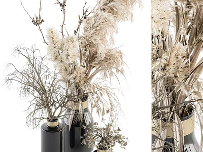 Natural Dried Pampas Grass And Twigs Decorative Ornament Set With Ceramic Vases 3d model
