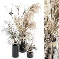 Natural Dried Pampas Grass And Twigs Decorative Ornament Set With Ceramic Vases