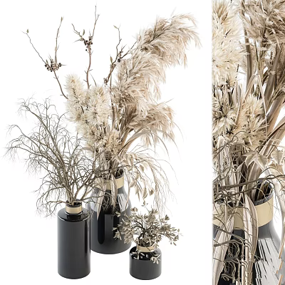 Natural Dried Pampas Grass And Twigs Decorative Ornament Set With Ceramic Vases 3d model