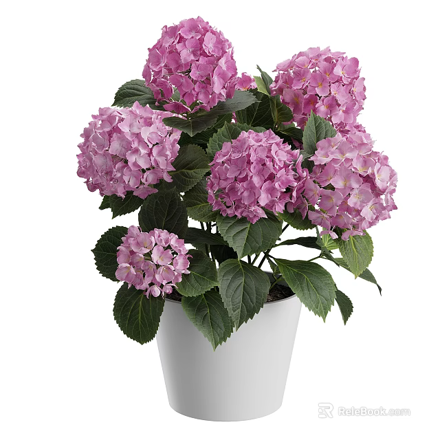 Pink Hydrangeas in White Vase for Beautiful Home Decorative 3d model 