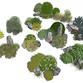 Various Types Of Decorative Garden Shrubs With Stones And Green Foliage