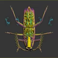 Vibrant Metallic Insect Character With Iridescent Colors Glowing Antennae And Shiny Legs