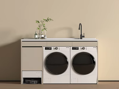 Modern Laundry Room With Double Washing Machines Countertop And Green Plants 3d model