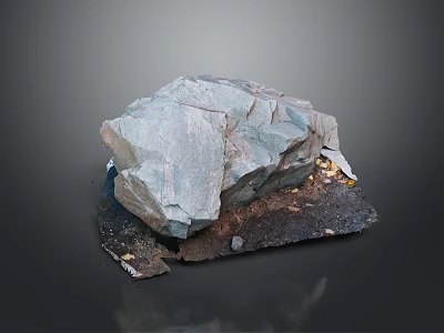 Natural Wood and Stone Material with Rough Gray Surface and Unique Natural Texture 3d model