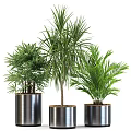 Various Green Potted Plants In Stylish Metal Pots For Indoor Decor