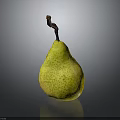 Fresh Yellowish Green Pear With Brown Stem On Dark Background Showing Reflection