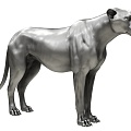 Leopard Leopard 3d model