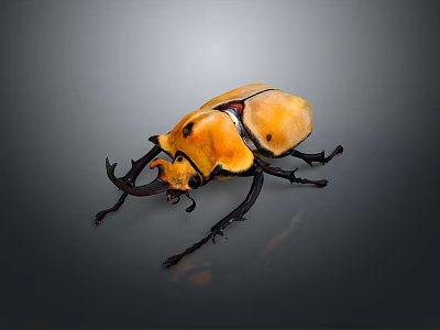 Giant Orange Beetle With Large Horns And Shiny Exoskeleton Isolated On Dark Background 3d model