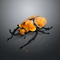 Giant Orange Beetle With Large Horns And Shiny Exoskeleton Isolated On Dark Background