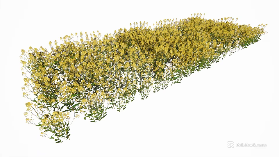 Vibrant Yellow Flowers With Green Leaves Growing In Lush Natural Garden 3d model 