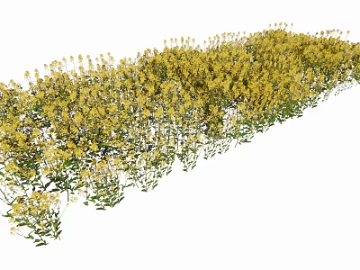 Vibrant Yellow Flowers With Green Leaves Growing In Lush Natural Garden 3d model