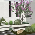 Courtyard Garden With White Wall Purple Flowering Tree Palm Green Shrubs Stone Path And Lawn