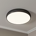 Round Modern Ceiling Light with White Shade and Black Frame on Ceiling Trim 3d model