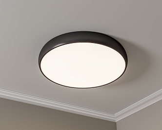 Modern Ceiling Lamp Round Ceiling Lamp Bedroom Ceiling Lamp Living Room Ceiling Lamp 3d model