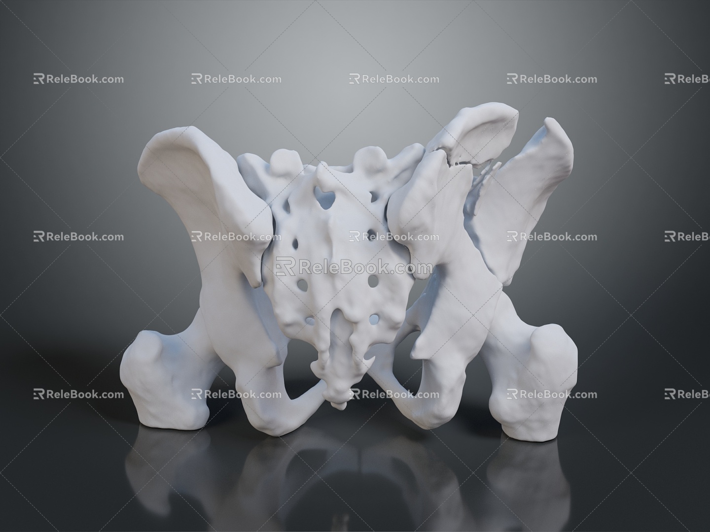 Vertebrae Cervical vertebrae Vertebrae Bone Bone Human Bone Bone Human Body Organ 3d model