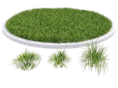 Modern Grass Lawn Flowers Vegetation Natural Plants 3d model