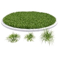 Modern Grass Lawn Flowers Vegetation Natural Plants 3d model