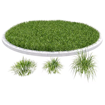 Lush Green Circular Lawn With White Border And Fresh Grass Tufts 3d model Lush Green Circular Lawn With White Border And Fresh Grass Tufts 3d model