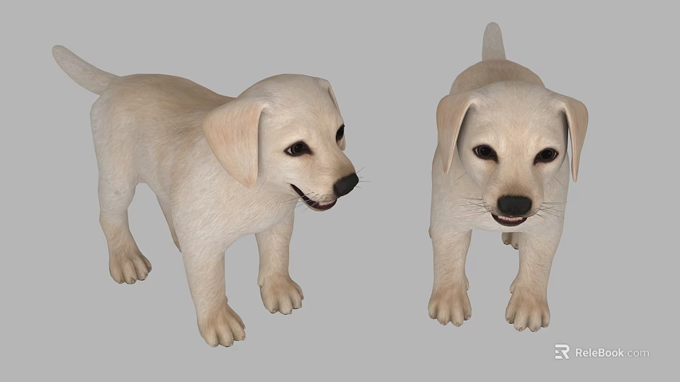 Two Cute Beige Labrador Puppies With Different Poses Friendly Expressions And Soft Fur 3d model 
