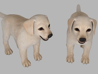 Modern Dog Puppy Labrador 3d model