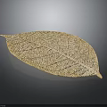 Natural Dried Plant Leaf Featuring Many Small Holes On Dark Background