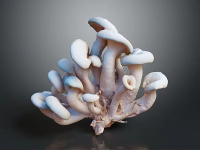 White Mushroom Cluster Sculpture With Multiple Caps And Stems Design 3d model