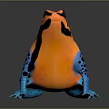 Vibrant Orange Black and Blue Patterned Frog with Colorful Body and Blue Legs