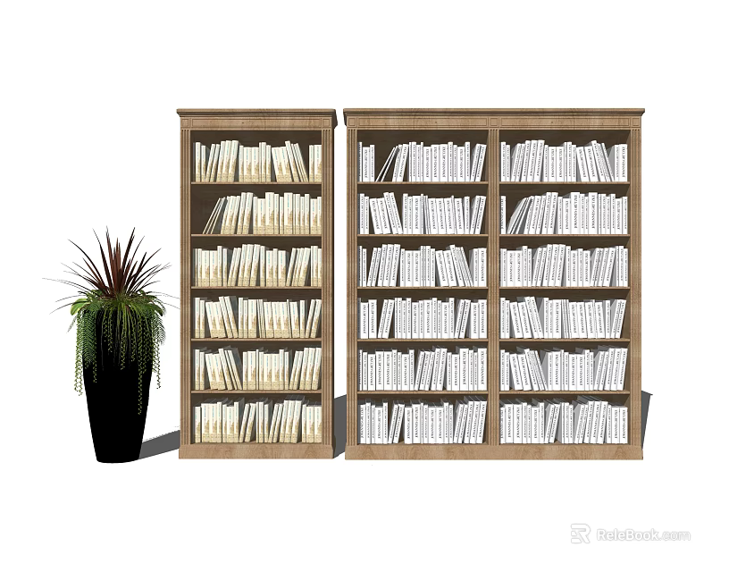 Two Wooden Bookcases Filled With White Books And Green Plant In Black Pot 3d model 