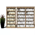 Two Wooden Bookcases Filled With White Books And Green Plant In Black Pot