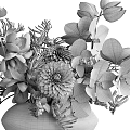 Bonsai Potted Plants In Ceramic Vases With White Flowers And Green Leaves