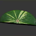 Fresh Watermelon Slice With Red Juicy Flesh Black Seeds And Green Striped Rind