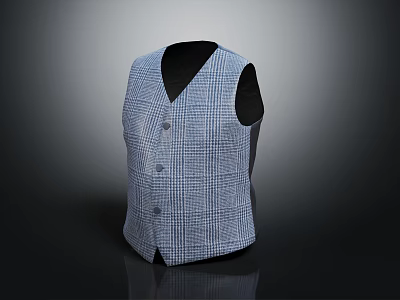 Classic Blue And White Checkered Vest With Sleeveless Design And Button Details 3d model