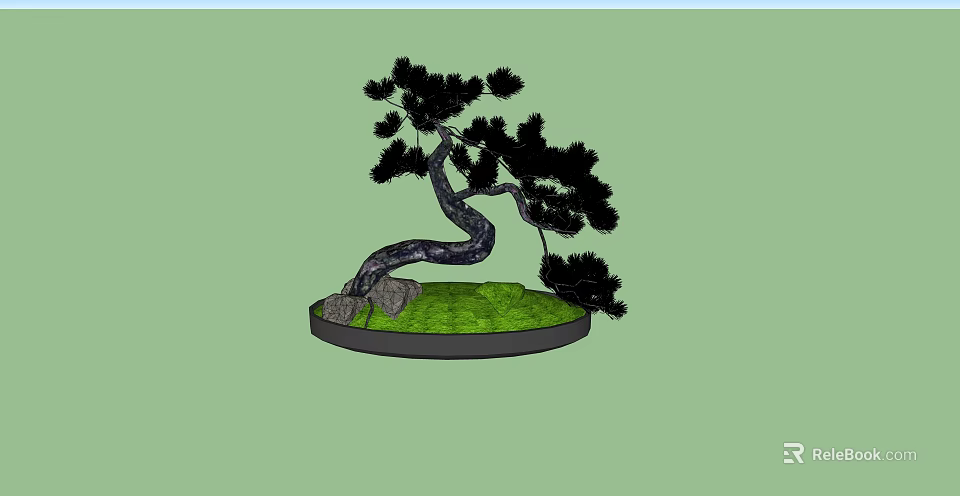 Potted Plant With Curved Trunk Black Leaves Green Grass And Stones In Round Pot 3d model 