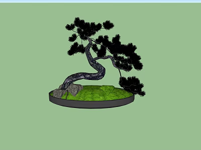 Potted Plant With Curved Trunk Black Leaves Green Grass And Stones In Round Pot 3d model
