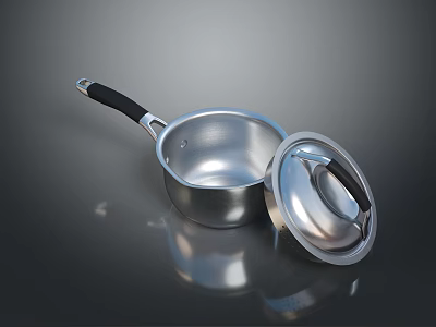 Silver Metal Cooking Pot With Lid And Heat Resistant Handle For Home Kitchen 3d model