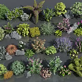 Various Colorful Flowering Plants and Green Shrubs with Decorative Stones