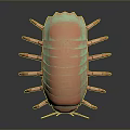 3D Rendered Woodlouse Featuring Copper Green Iridescent Shell And Multiple Legs On Dark Background