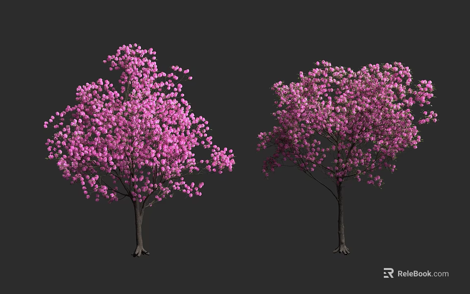 Two Arbor Trees Blooming With Pink Flowers Against Dark Background 3d model 