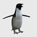 Cute Penguin Standing With Open Wings And Black White Feathers On Plain White Background