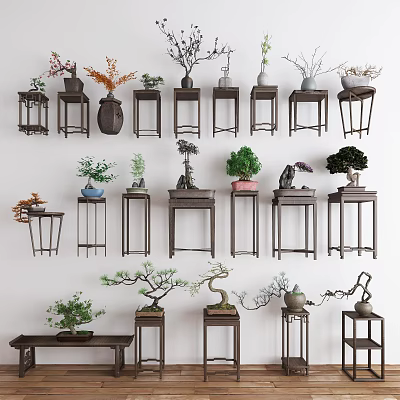 Bonsai Plants Display On Various Wooden Stands For Indoor Home Decor 3d model