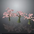 Three Pink Flowering Trees With Green Trunks On Grey Background And Ground Reflections