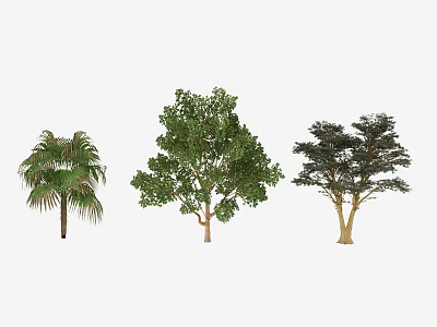 Diverse Arbor Tree Types with Palm Broad and Coniferous Lush Foliage 3d model